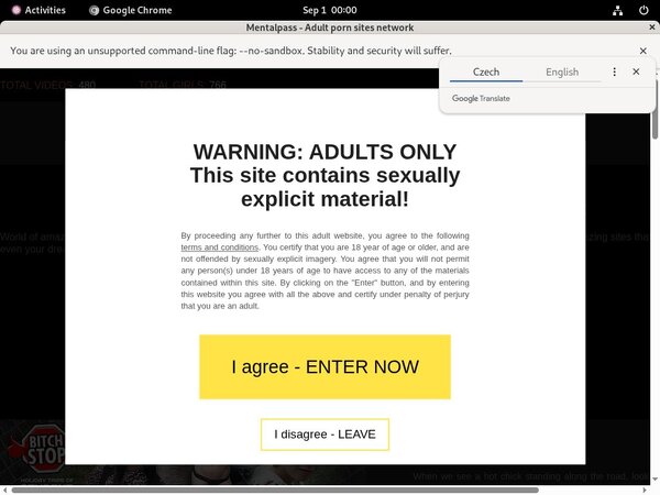 Active Mentalpass.com Passwords