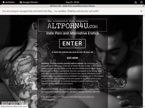 Alt Porn 4 U Passwords Free