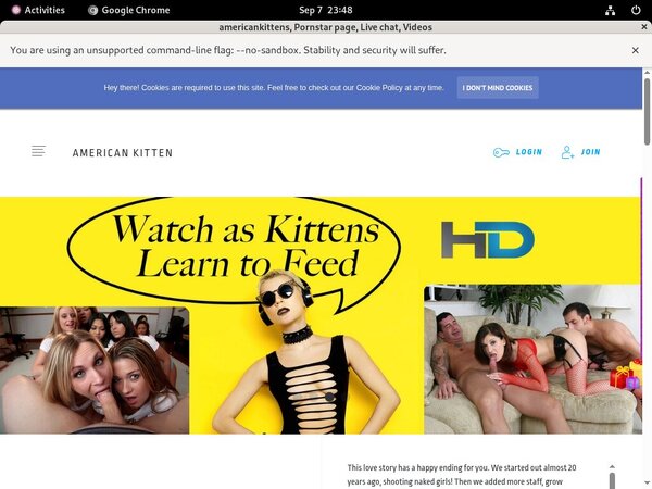 Americankittens Free Trial Coupon Americankittens Free Trial Coupon