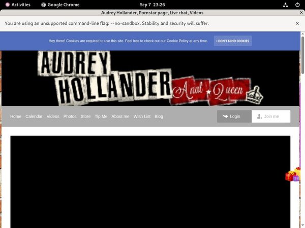 Audrey Hollander Lingerie