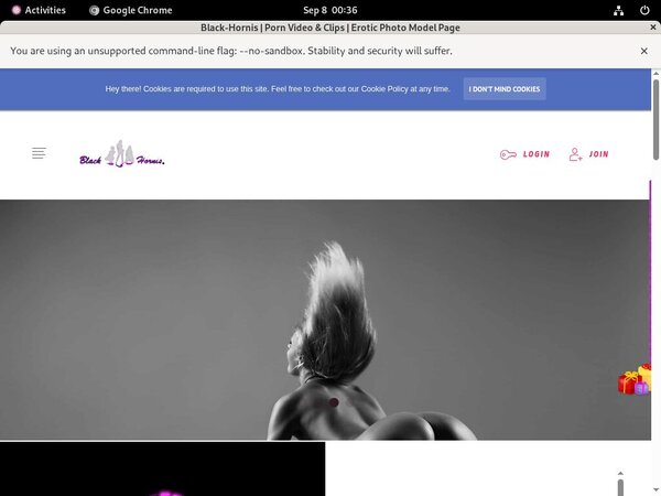 B L A C K - H O R N I S Home Page