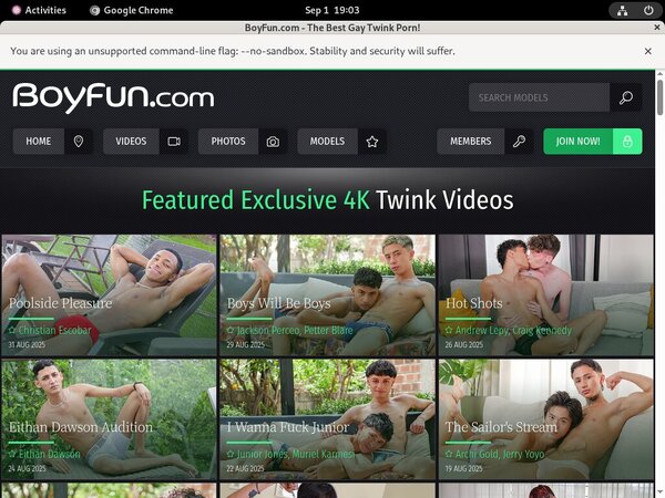 Boyfun.com Full Movie