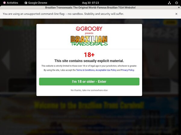 Brazilian Transsexuals New Discount