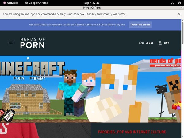 Bypass Nerdsofporn.com