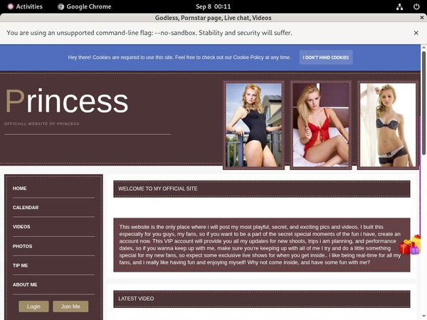 Cardboard.modelcentro.com With Paypal Acc