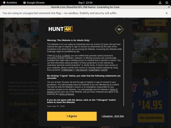 Contas Premium Hunt 4k