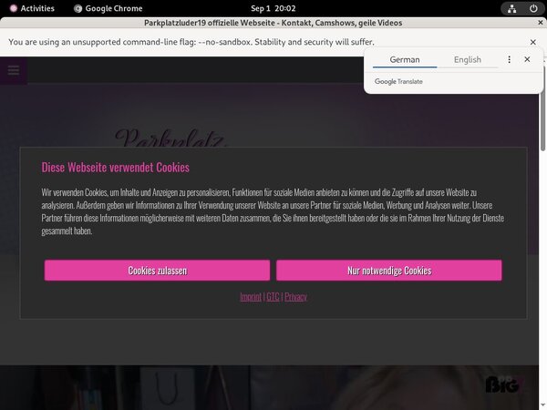 Discount Parkplatzluder19.com Free Trial