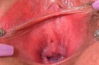 Discounts Gape My Pussy s6