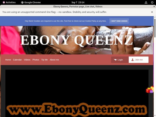 EbonyQueenz Free Login Password