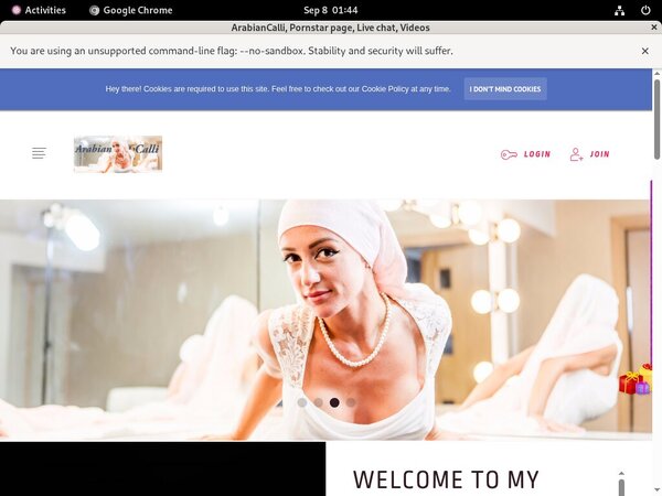 Free ArabianCalli Passwords