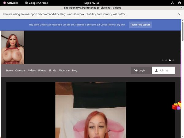 Free Passwords Snowbunnyy