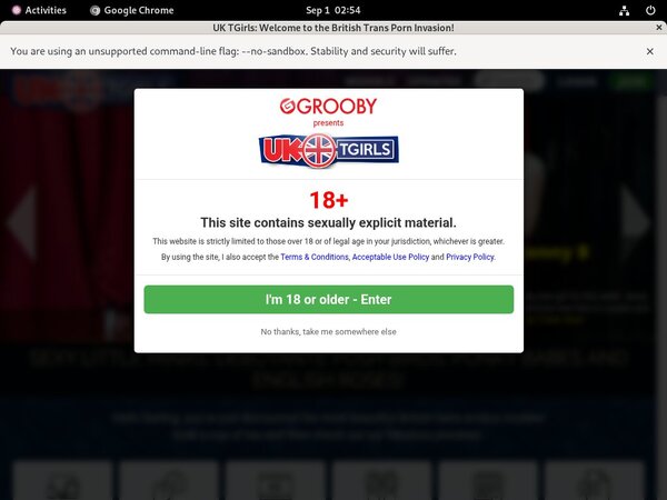 Free TGirls UK Logins