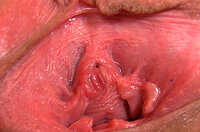 Gape My Pussy Squirt s1