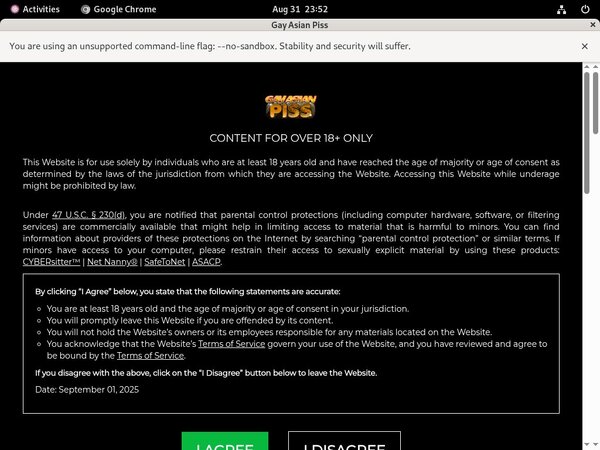 Gayasianpiss.com Full Com