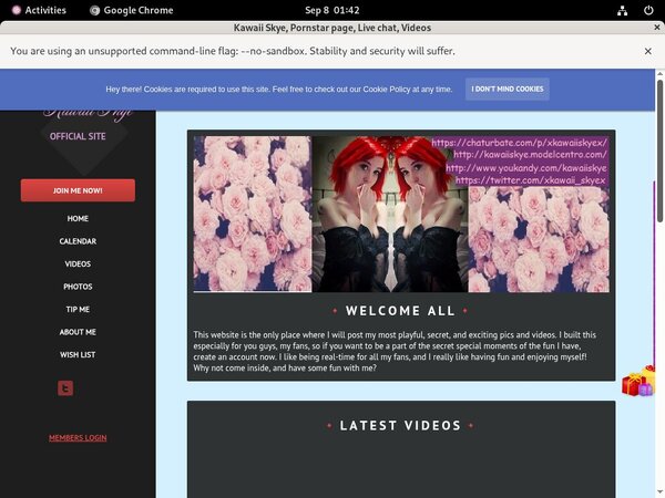 Get KawaiiSkye Free Logins