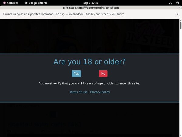 Girls In Steel Cc Bill