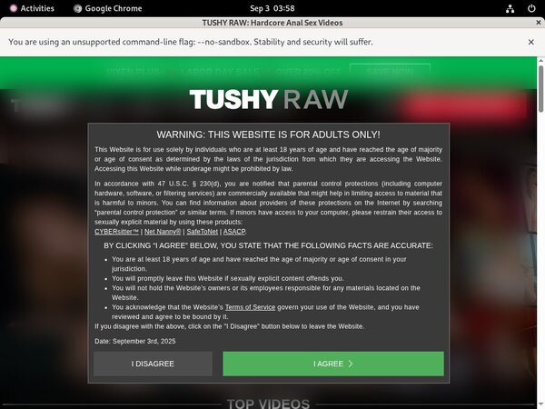 How To Get A Free Tushyraw Account