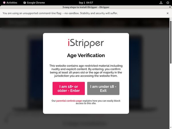Istripper Sex Movies