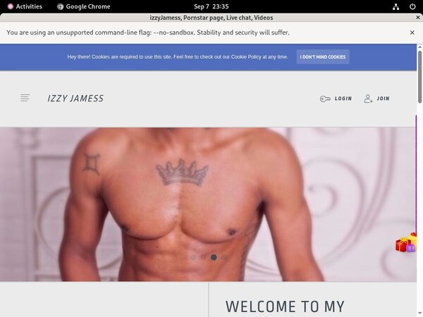 Izzyjamess.modelcentro.com Passcodes