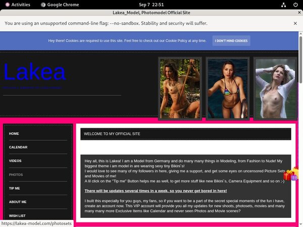 Lakea-model Account Information