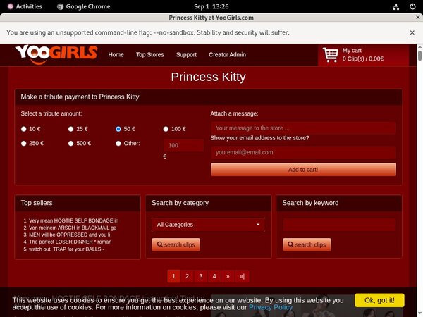 Login Princess Kitty