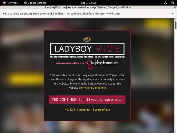 New Ladyboy Vice Videos