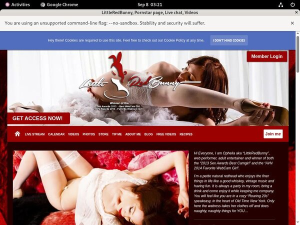 Password To LittleRedBunny Password To LittleRedBunny