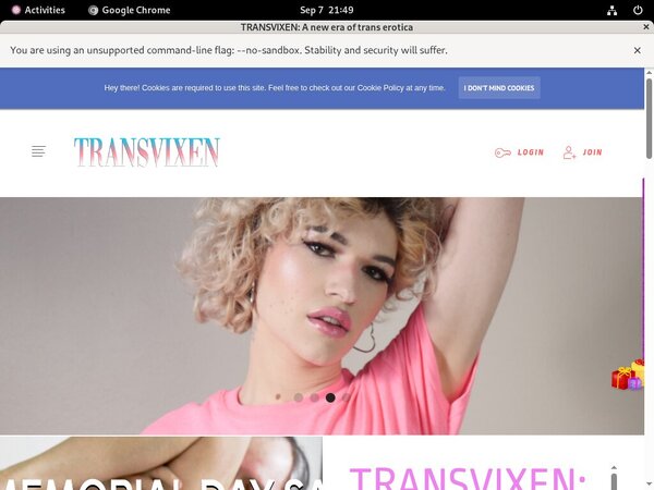 Premium TransVixen Passwords Premium TransVixen Passwords