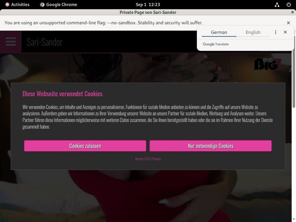 Sari Sander Vids