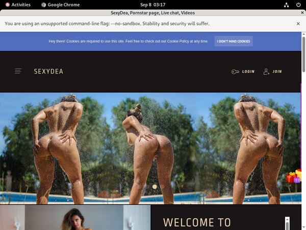 Sexydea.xxx Purchase