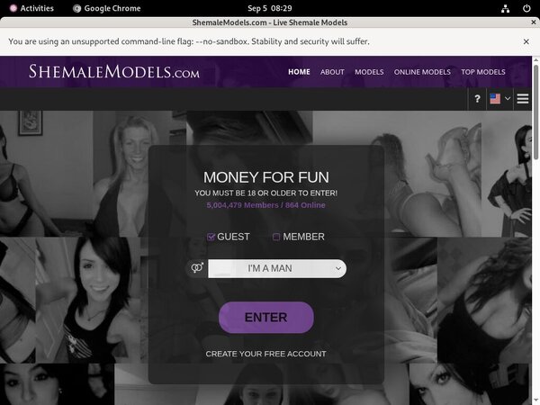 Shemalemodels Daily Accounts