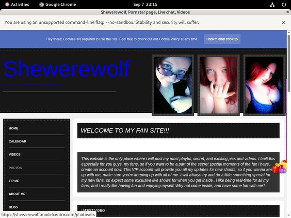 Shewerewolf Working Passwords