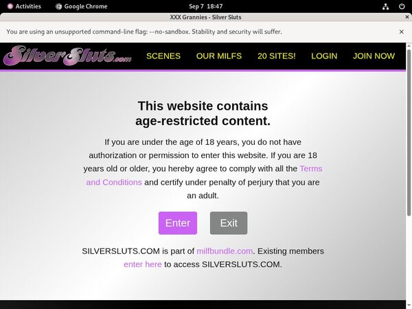 Silver Sluts Nude Photos