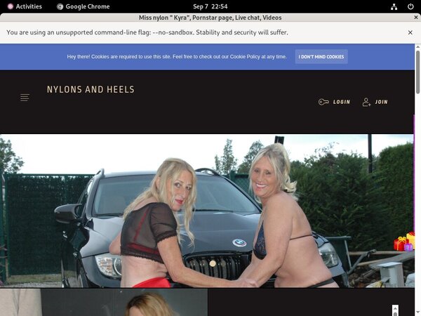 Stockingsandhighheels.com Cost