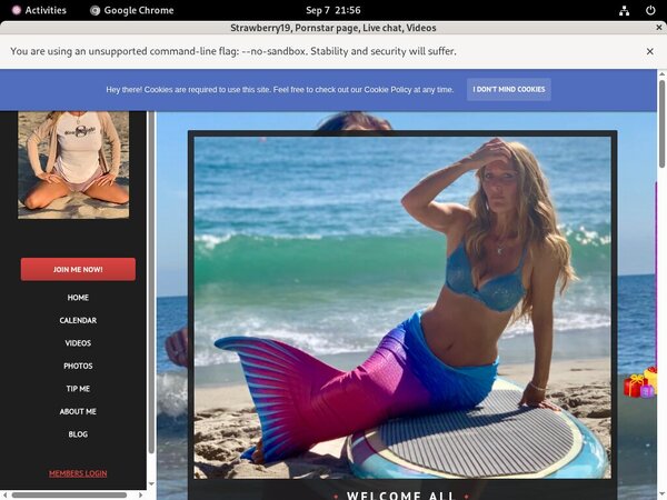 Strawberry19.modelcentro.com Gratis Password