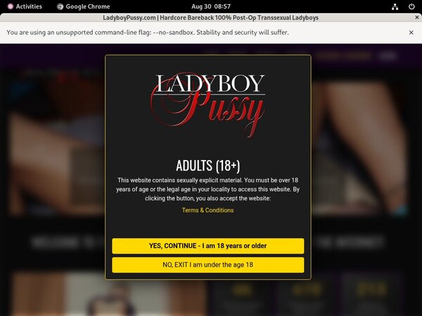 Subscribe To Ladyboypussy