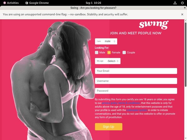 Swing Segpay Discount