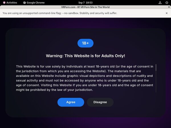 Try Vrporn.com For Free