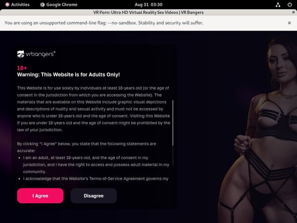 VR Bangers Access Free
