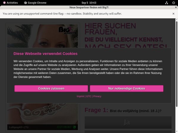 What Is YourSecretDream