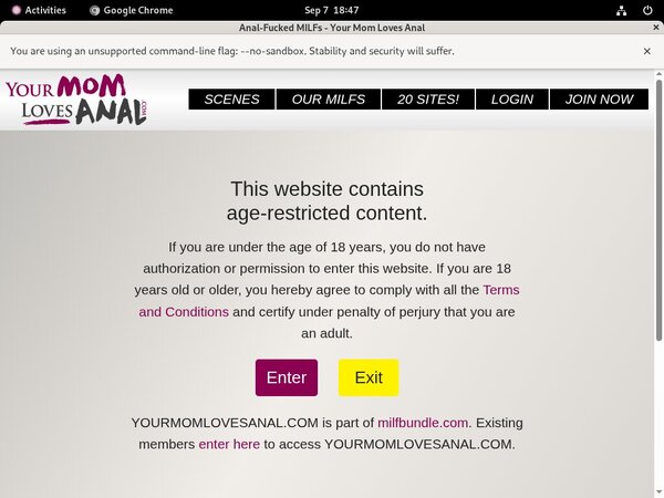 Your Mom Loves Anal Usernames