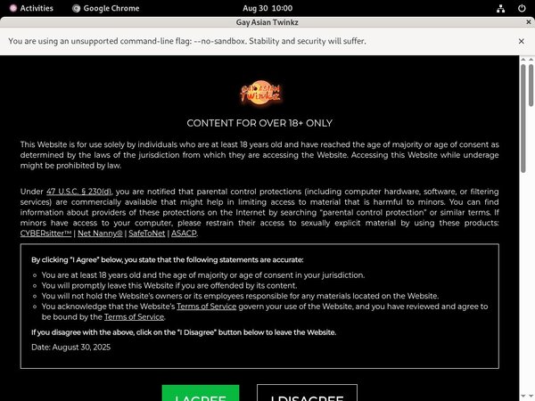 Gayasiantwinkz.com Pornhub