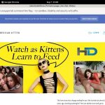 Americankittens Free Trial Coupon Americankittens Free Trial Coupon