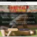 Brutal Catfight Gratuito